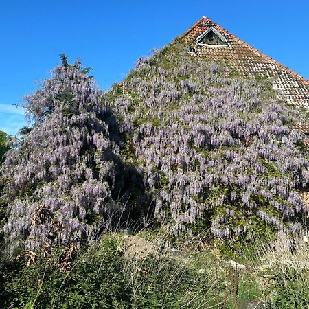 Kornmuehle Doppelzimmer Muehlenstein Mellenthin Εξωτερικό φωτογραφία